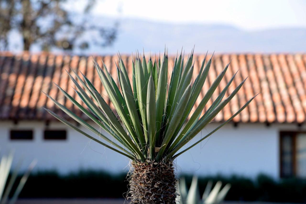 Hacienda Los Picachos Alcocer Exterior photo